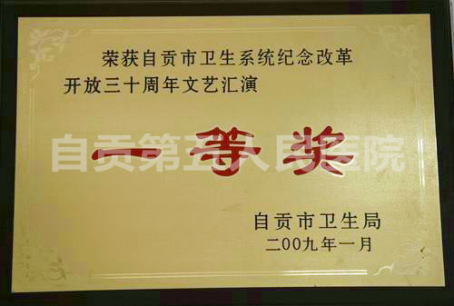 文艺汇演一等奖