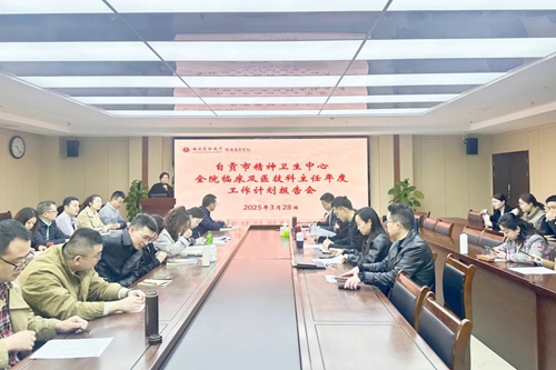 我院召开2025年临床医疗及医技科室工作发展计划报告会
