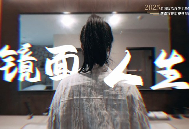 《镜面人生》